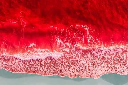 Afbeelding van: Red Sea