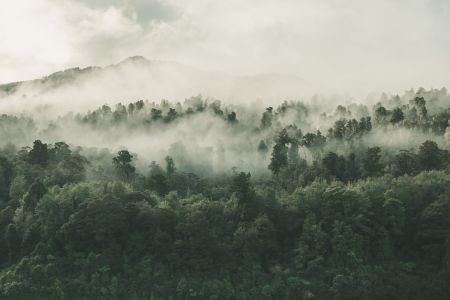 Afbeelding van: Silence (2016)