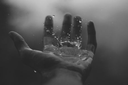 Afbeelding van: Lines of your Hands