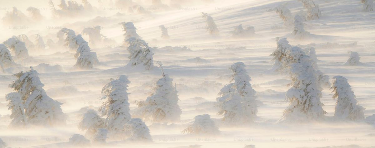 DDoS-Attacks on EU-Insitutions by russian activist, analyzed and summarized