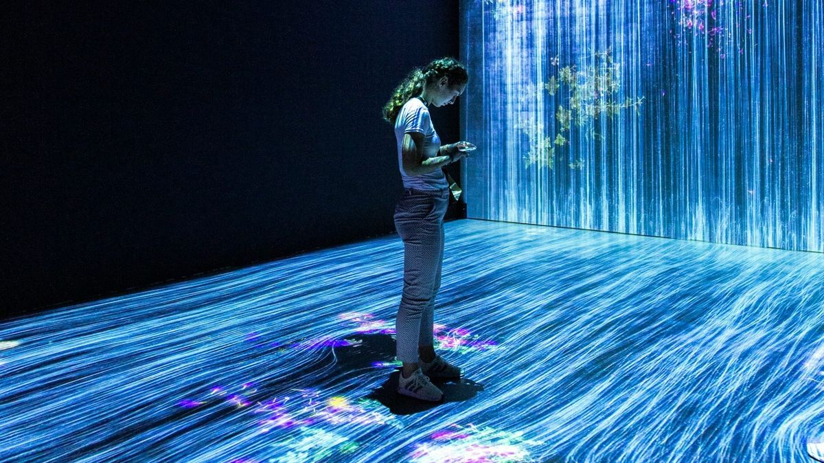 a unique attack: TDoS against a Health AI Startup