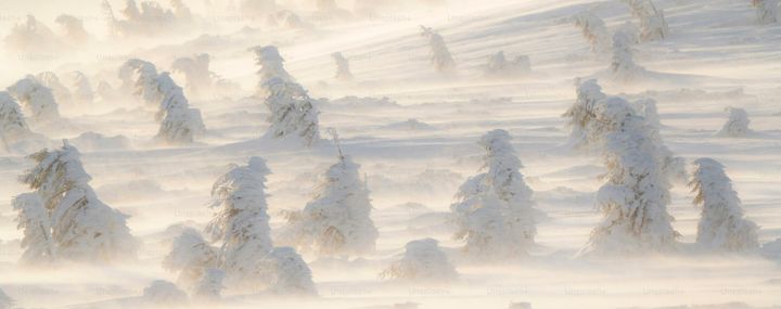 DDoS-Attacks on EU-Insitutions by russian activist, analyzed and summarized