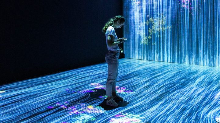 a unique attack: TDoS against a Health AI Startup