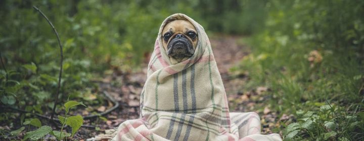 IPv6 - DDoS is still PITA for Blue Team