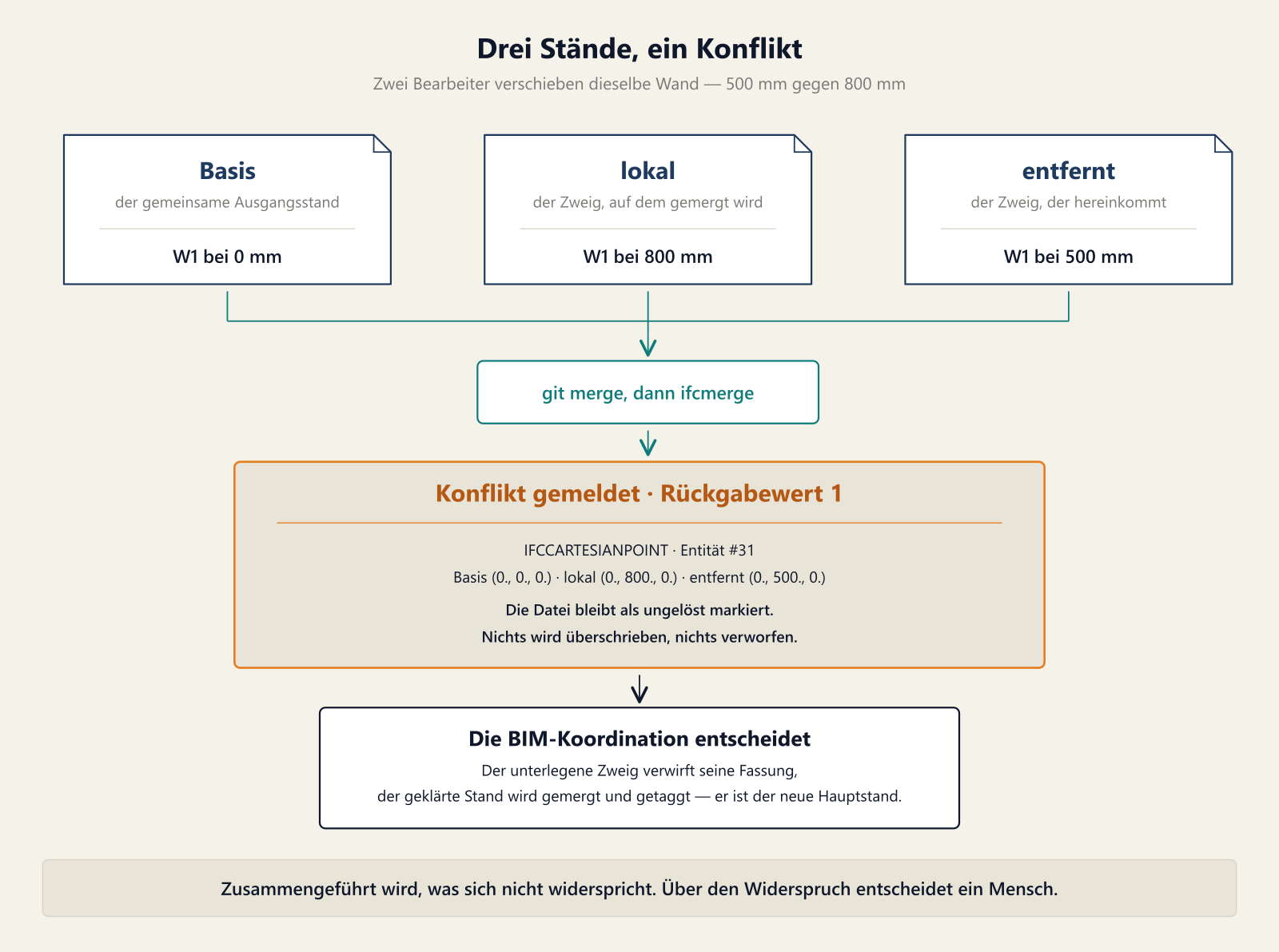 Oben drei gleich grosse Dateiblätter mit abgeschnittener Ecke nebeneinander. Das linke ist mit „Basis" überschrieben, Zusatz „der gemeinsame Ausgangsstand", darunter der Wert W1 bei 0 mm. Das mittlere ist mit „lokal" überschrieben, Zusatz „der Zweig, auf dem gemergt wird", Wert W1 bei 800 mm. Das rechte ist mit „entfernt" überschrieben, Zusatz „der Zweig, der hereinkommt", Wert W1 bei 500 mm. Von allen dreien führen Linien nach unten in einen abgerundeten Kasten „git merge, dann ifcmerge". Von dort ein Pfeil in ein grosses, beige getöntes und orange gerahmtes Feld mit der Überschrift „Konflikt gemeldet, Rückgabewert 1". Darin die Angaben des Berichts: IFCCARTESIANPOINT, Entität Nummer 31, Basis null, lokal 800, entfernt 500; darunter, dass die Datei als ungelöst markiert bleibt und dass nichts überschrieben und nichts verworfen wird. Von diesem Feld führt ein dunkler Pfeil weiter nach unten in einen weissen, kräftig gerahmten Kasten „Die BIM-Koordination entscheidet": Der unterlegene Zweig verwirft seine Fassung, der geklärte Stand wird gemergt und getaggt — er ist der neue Hauptstand. Ganz unten ein getöntes Band: Zusammengeführt wird, was sich nicht widerspricht; über den Widerspruch entscheidet ein Mensch.