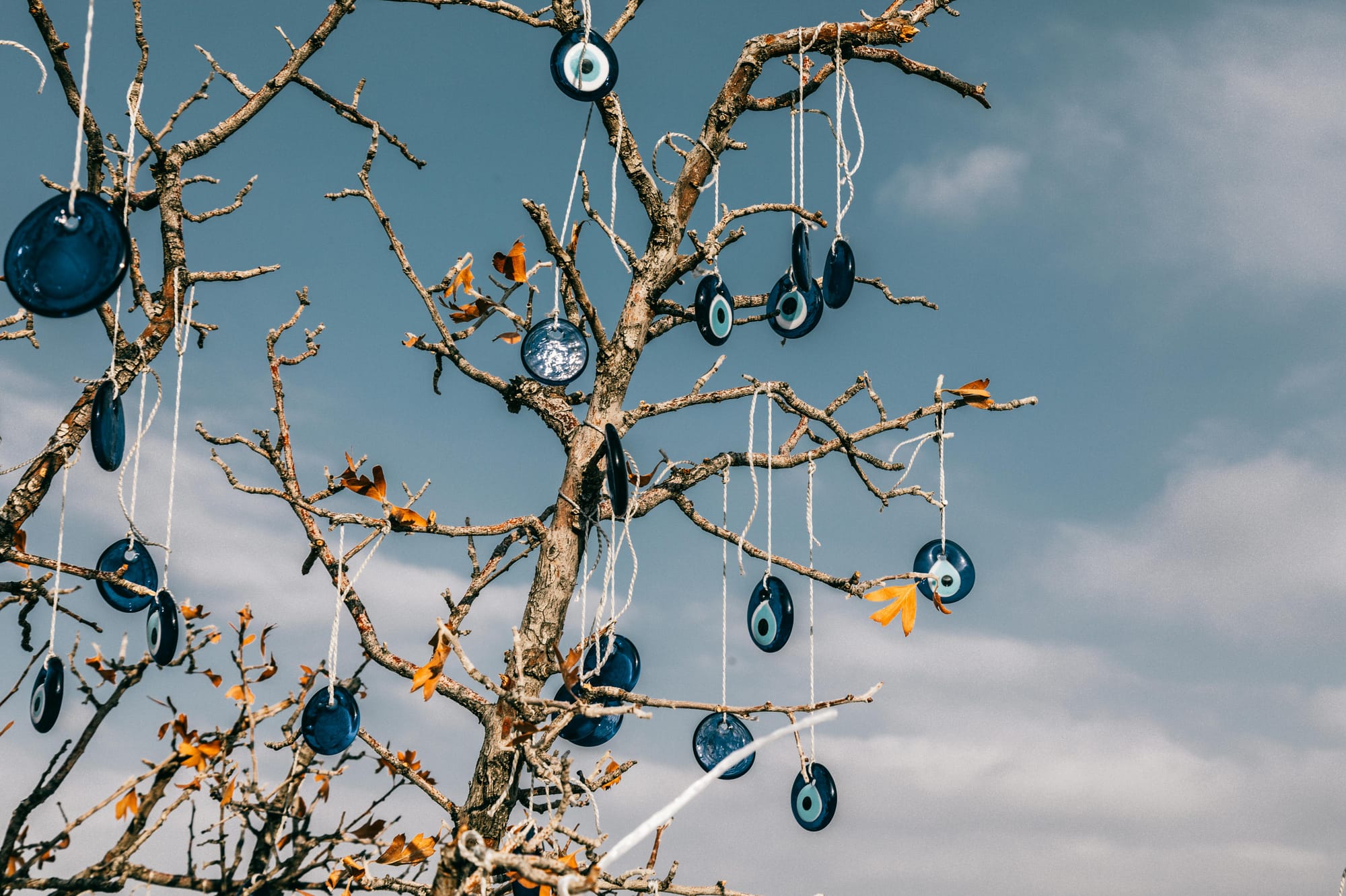A tree with numerous blue evil eye medallions strung onto its almost bare branches. There are a few orange leaves clinging onto its limbs