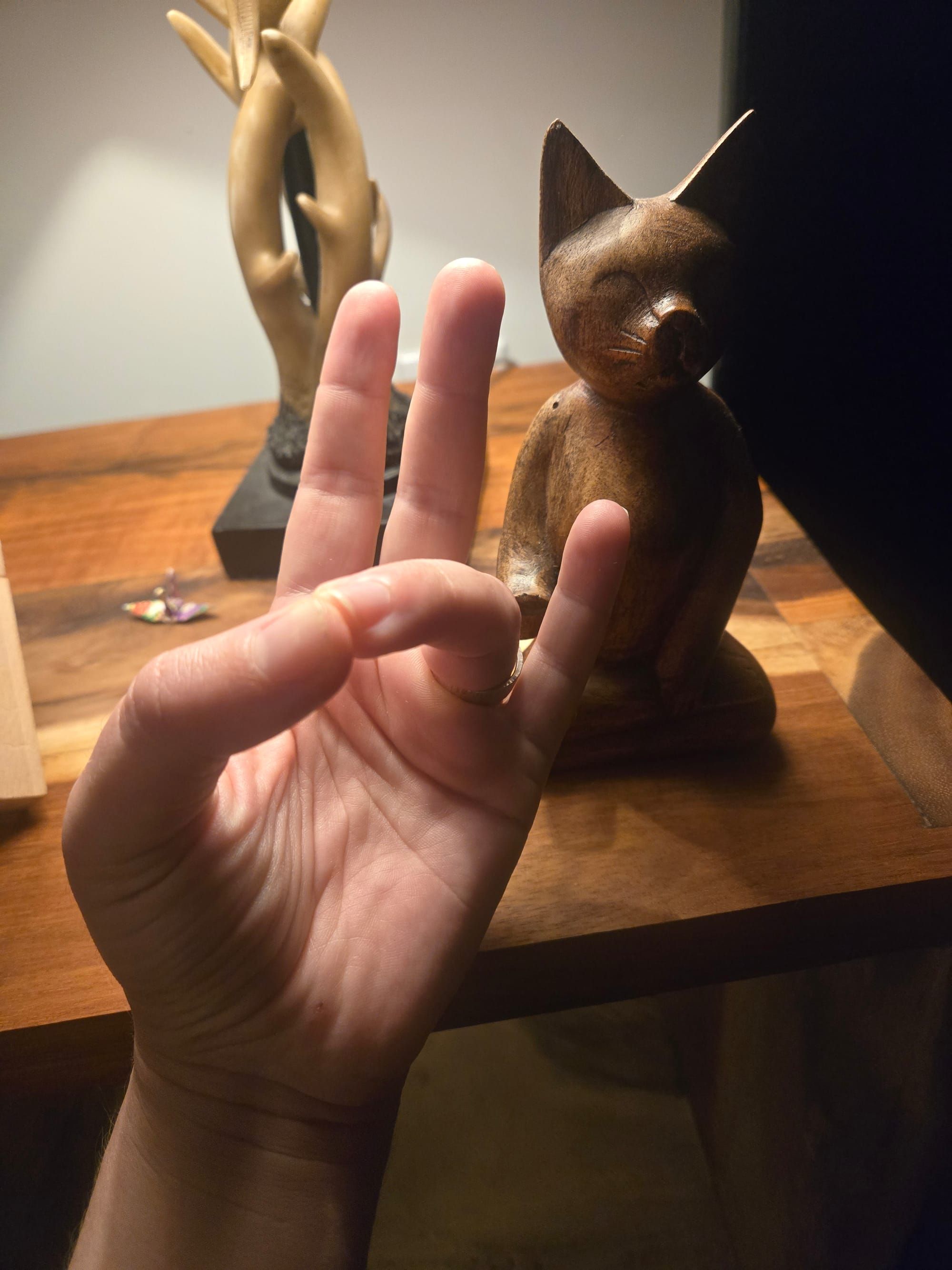 A hand held out with its pointer, middle, and pinky fingers raised up. The thumb connects to the tip of the ring finger to make a circle. A wooden Buddhist cat statue sits adjacent. 