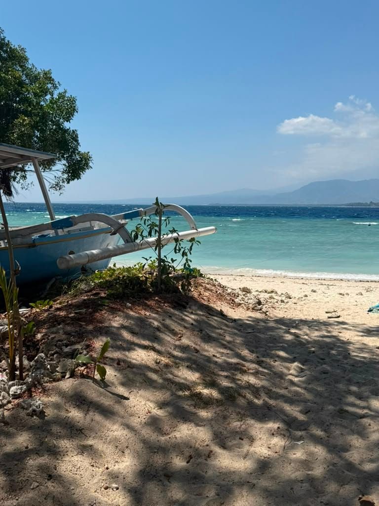 So I Went to Bali