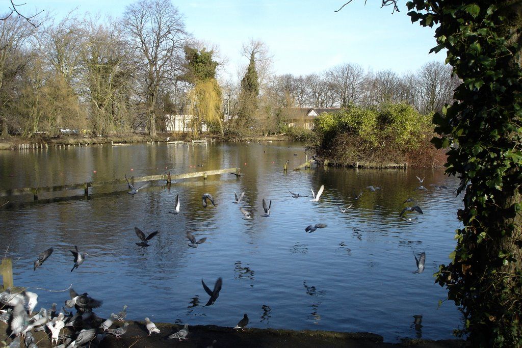 Alexandra Park à Londres