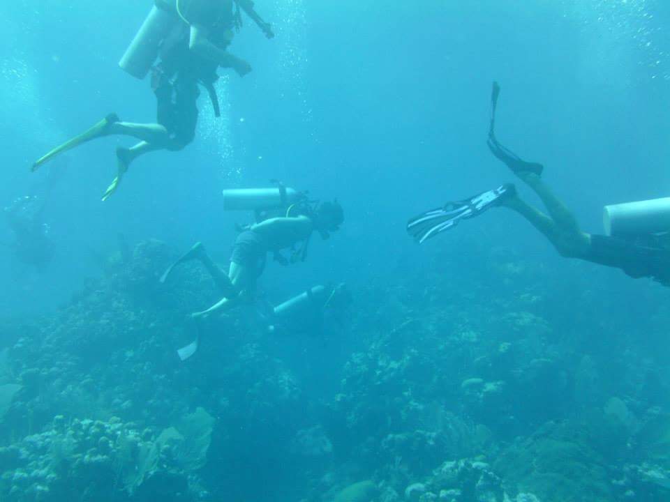 Surfers-Divers-Angelica-2