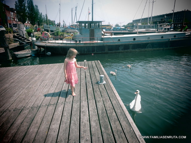 comm486-pr-newsletter1604-03-Max-Spain