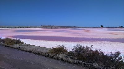 Echange de maison avis Salins