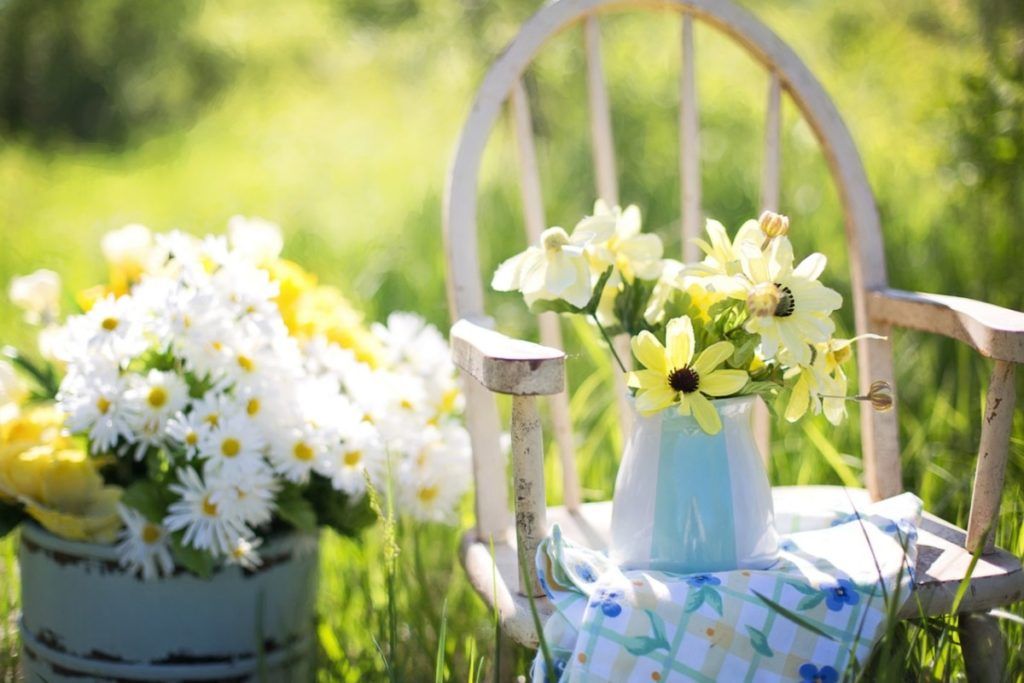 GTG ecotourisme HomeExchange