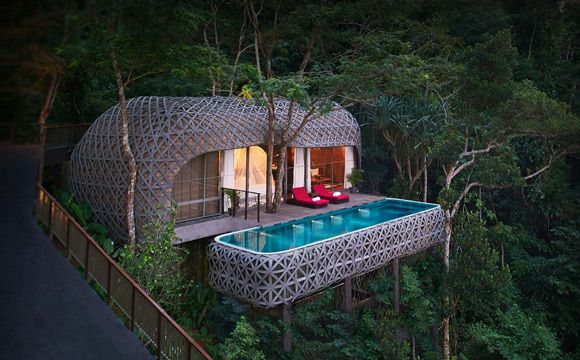 weekend-piscine-arbre-amoureux-echange-de-maison