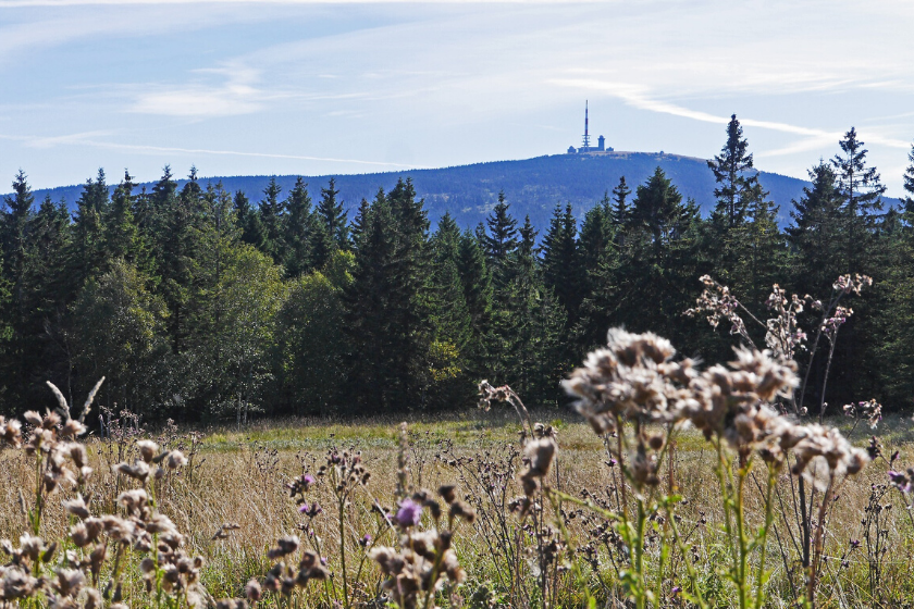 vacances-montagne-randonner-Allemagne-Saxe-Anhalt