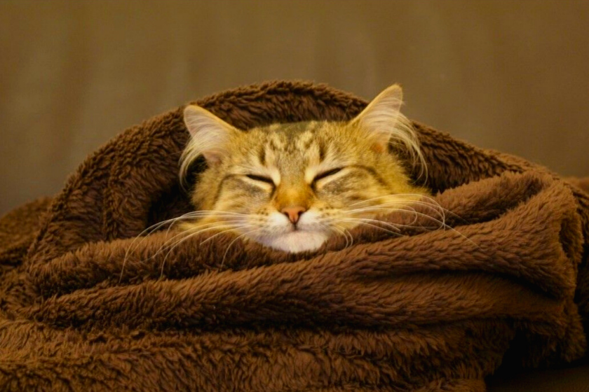 Cocooning-vacances-hiver