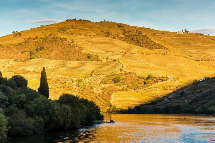 Ou-partir-campagne-vallee-douro-portugal