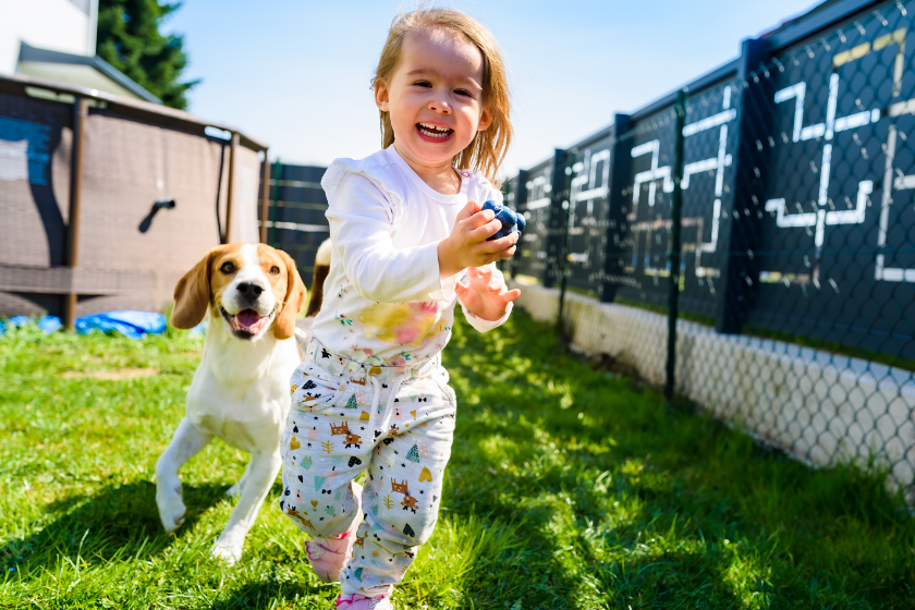 echange-de-maison-vacances-garde-animaux