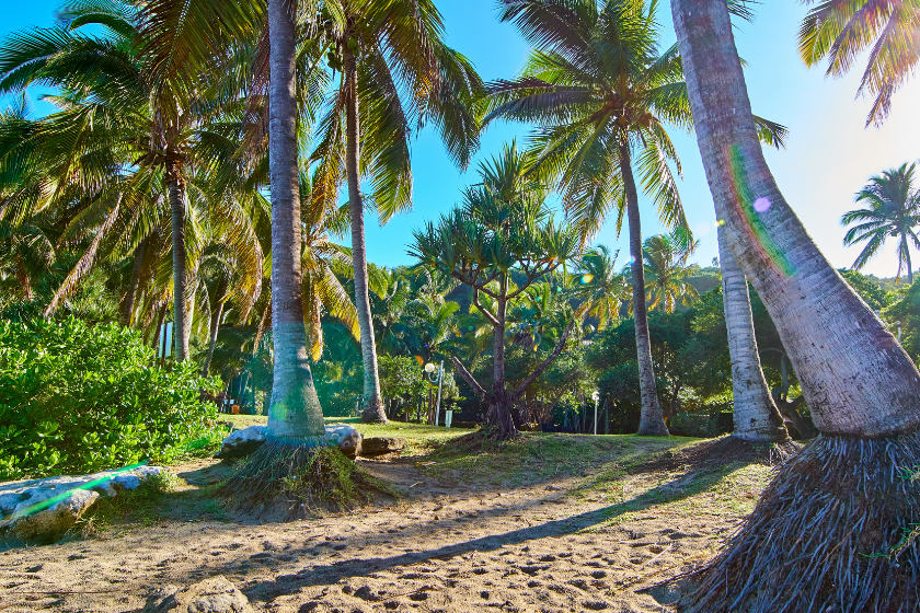 Destination-Vacances-Ile-de-la-Reunion