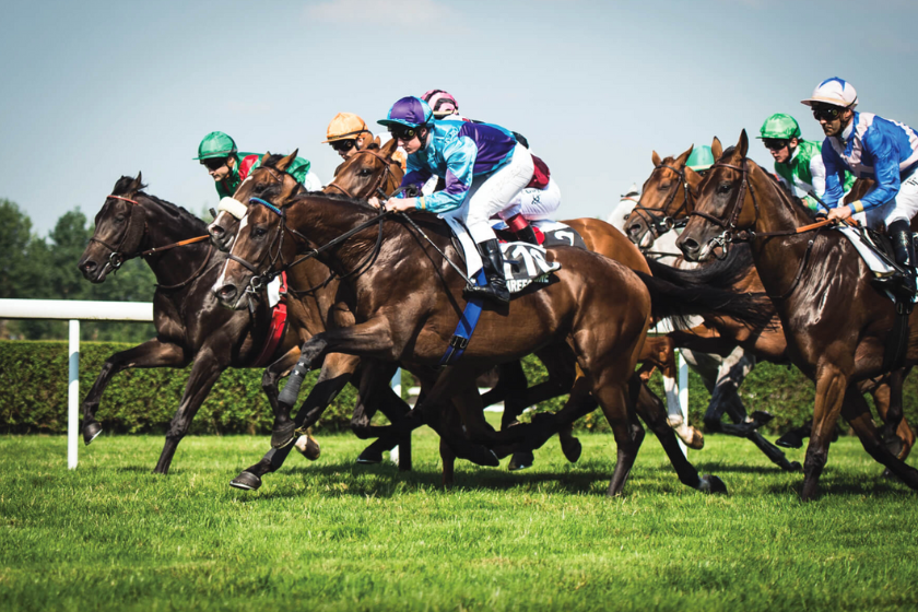 Week end pas cher Normandie évènements locaux course hippique