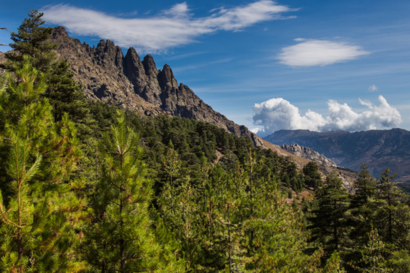 Randonnées en Corse sentier GR20