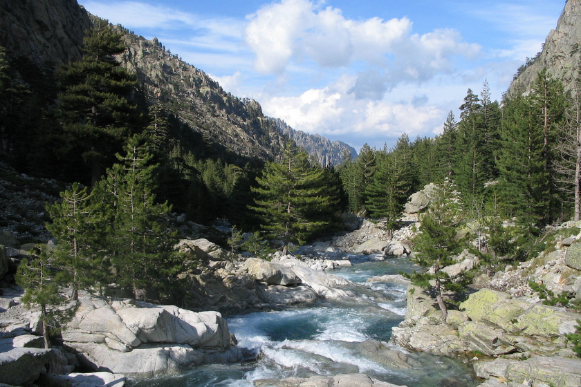 Randonnées en Corse sentier Restonica