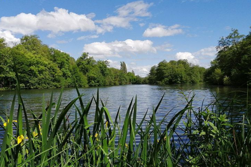 Randonnées Ile de France sentier de la Roselière