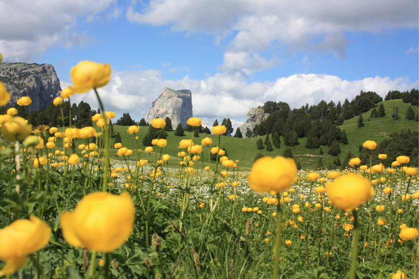 Où partir en France en août Massif du Vercors
