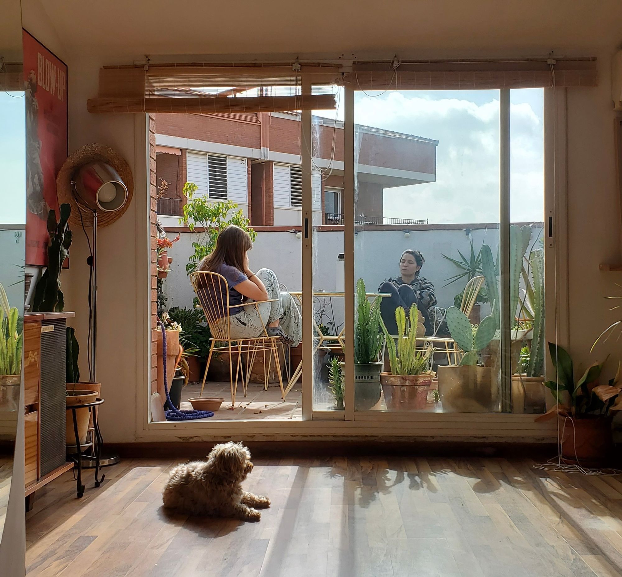 Des amis profitent du soleil pendant leurs vacances à Bilbao dans le cadre d'un échange de maisons