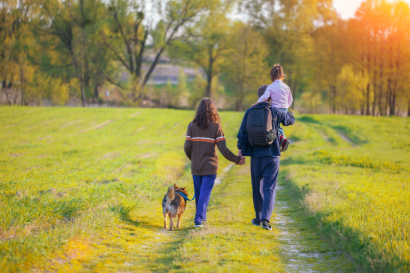 vacances échange de maison garde d'animaux