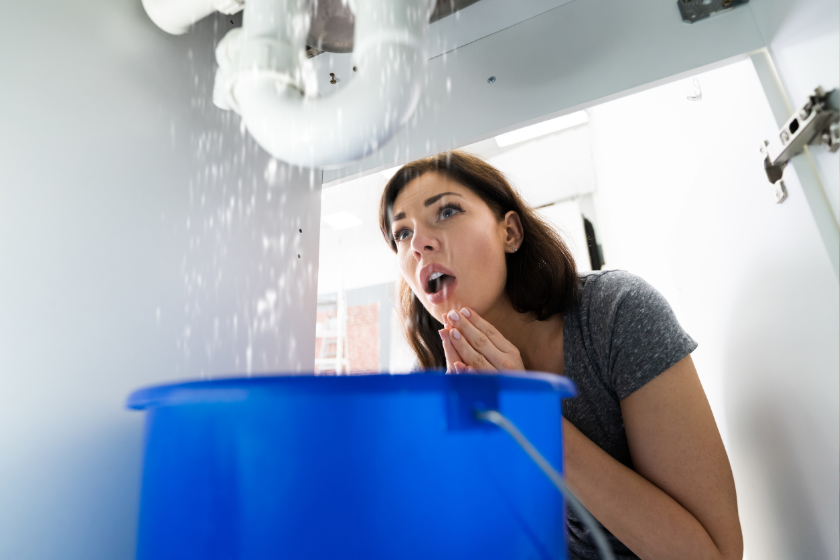 Peur de faire une mauvaise expérience d'échange de maisons catastrophe pendant échange