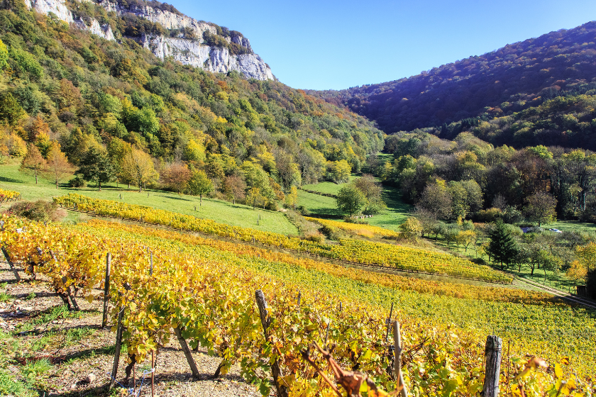 Où partir Toussaint France vacances famille Jura