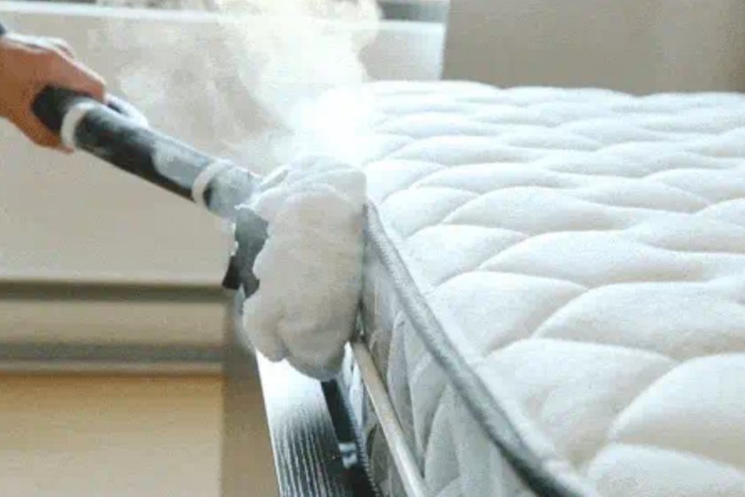 Punaises de lit et échanges de maisons se débarrasser des punaises de lit