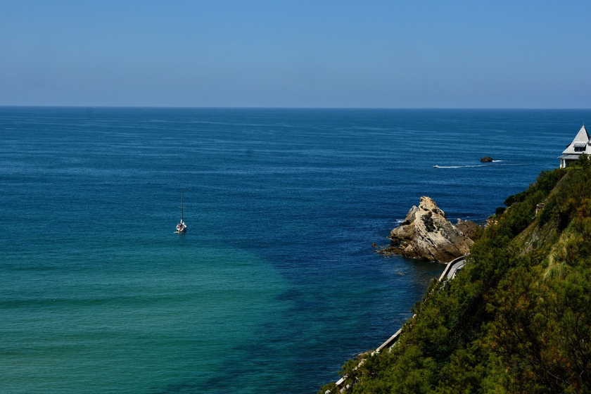 où partir avec son chat