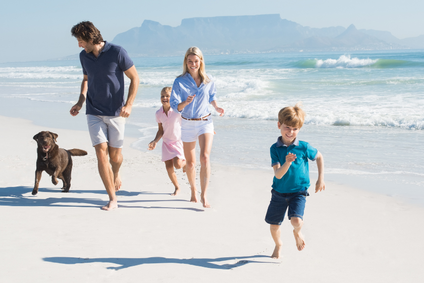 Témoignages de membres HomeExchange voyageant avec leurs animaux de compagnie