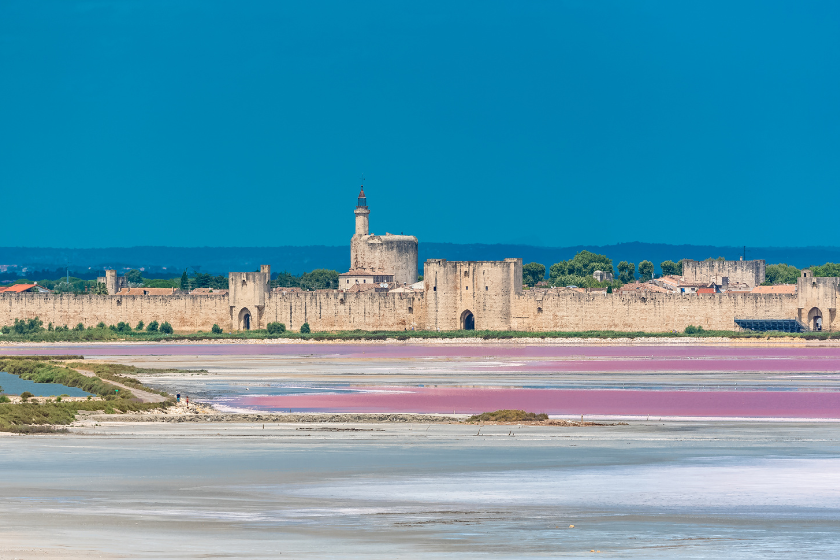 Où partir en mai Camargue