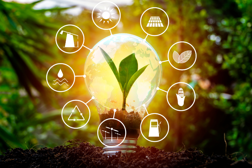 ampoule écologique avec plante verte et icônes écologiques stock photo