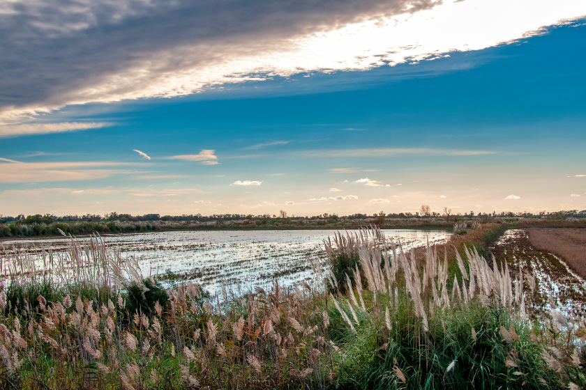 Où partir en octobre en famille Camargue