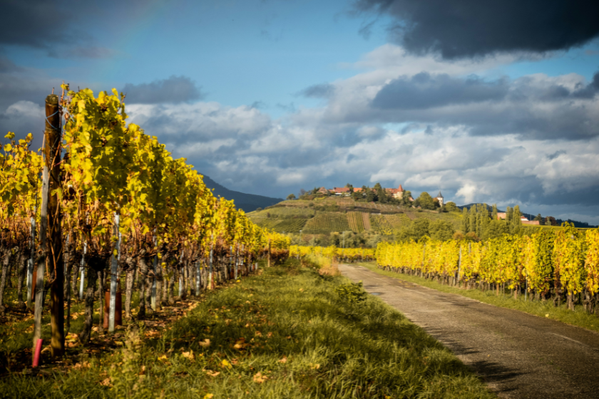 plus belles villes en alsace