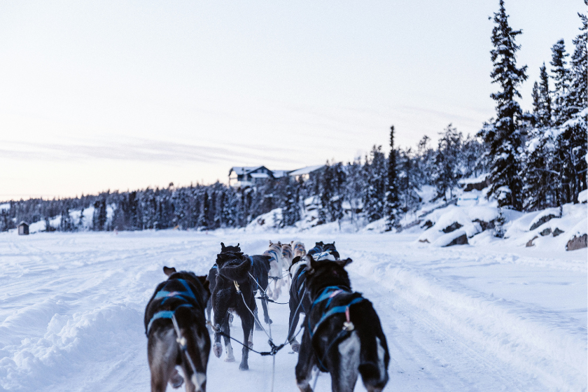 activités insolites alpes