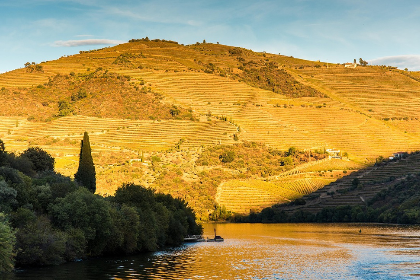 train dans le douro