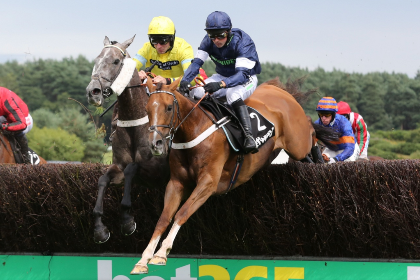 Que faire à Casablanca Hippodrome