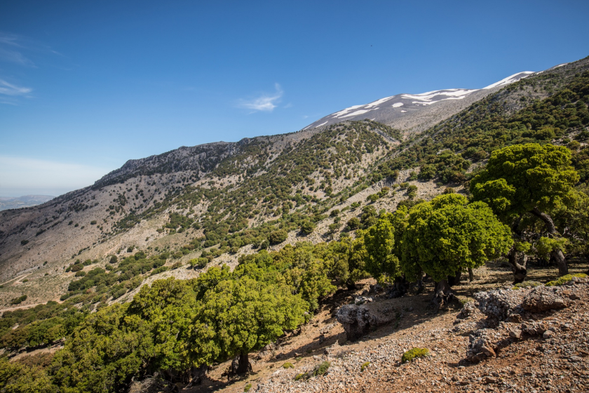 Visiter la Crète Mont Psiloritis