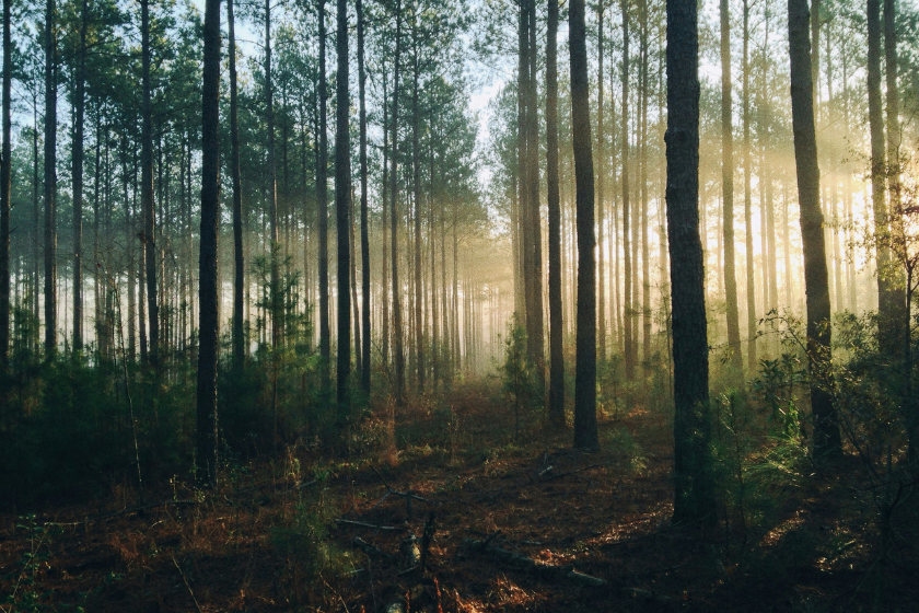 que voir autour de lille