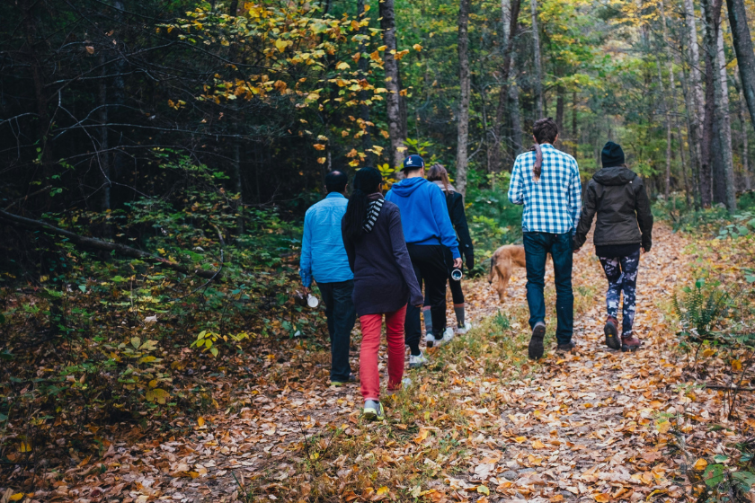 que faire autour de lille