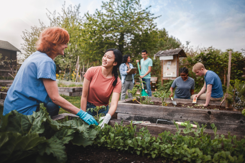 jardins partagés en ville