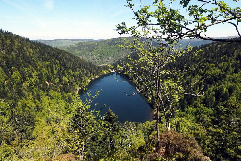 activités dans les vosges