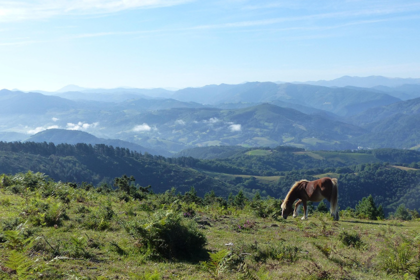 vacances en france en été