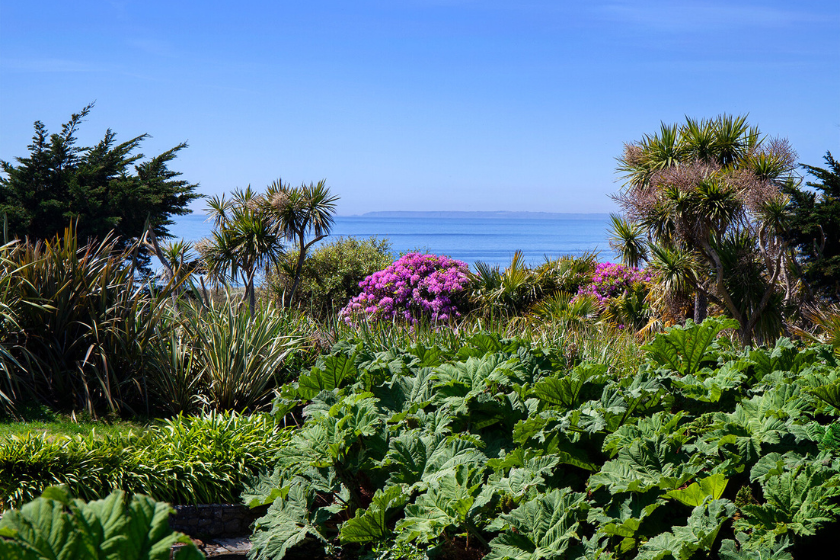 Top 20 des plus beaux endroits du Cotentin Le Jardin botanique de Vauville