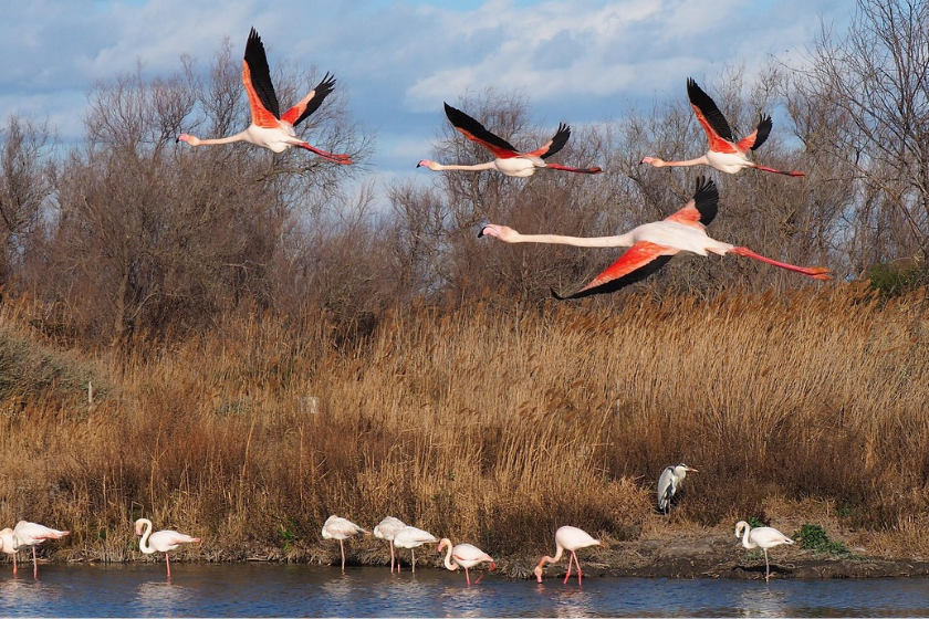 activités originales en famille en france